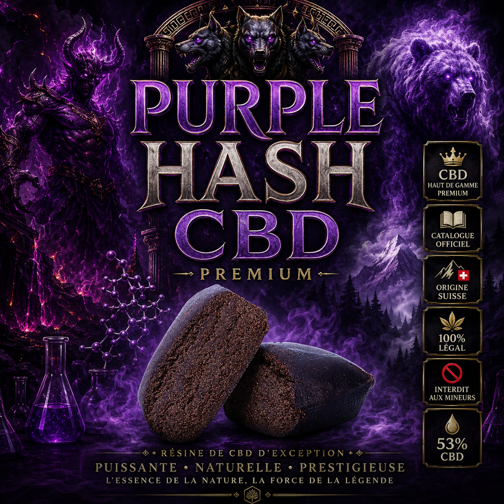 🔮 Purple Hash Premium+ 🔮